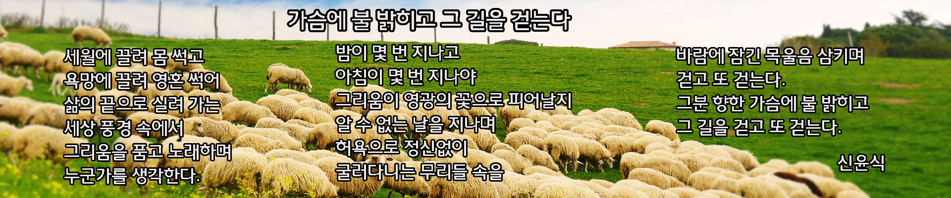 슬라이드 이미지2